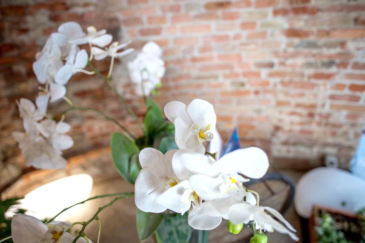 La Canonica - Charming Self-Catering Apartments In Nizza Monferrato Extérieur photo
